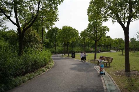 顧村公園有什麼好玩？不妨細細品味園內的每一處風景，不僅僅是賞花賞景，更是一場感官與心靈的旅行。