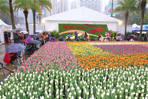 香港送花之藝術與文化