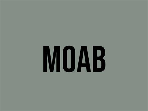 moab什麼意思：探討這個詞彙的多重含義與文化影響